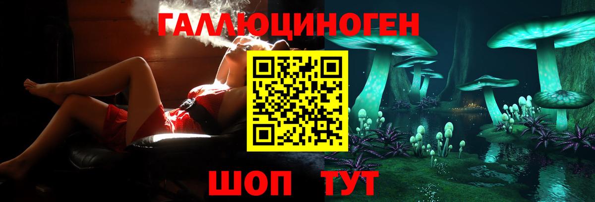Галлюциногенные грибы прущие грибы  Вход с VPN  Лыткарино 